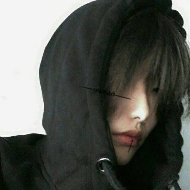 dubai学习网官方客服头像